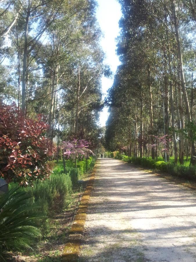 Il Nibbio Reale Country House Rocca d'Evandro Exterior foto