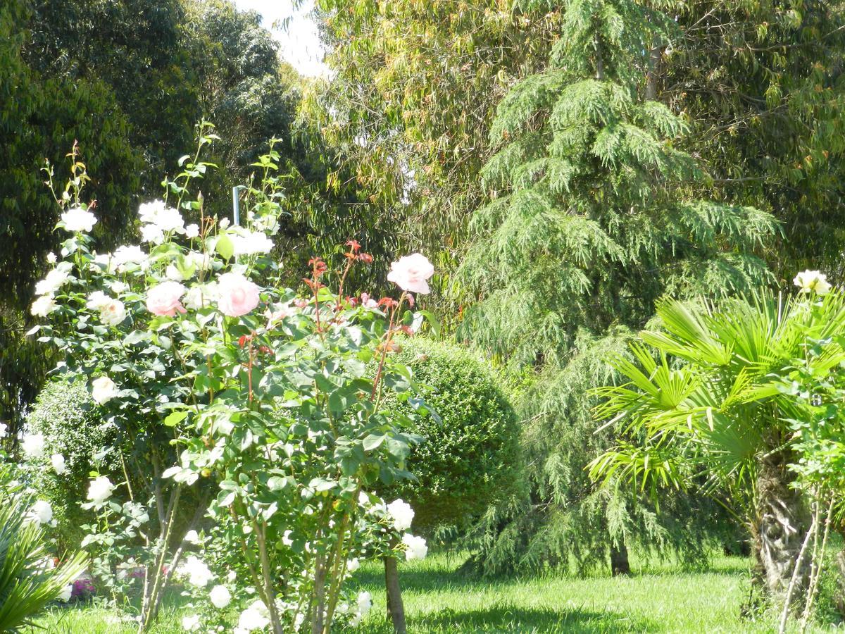 Il Nibbio Reale Country House Rocca d'Evandro Exterior foto